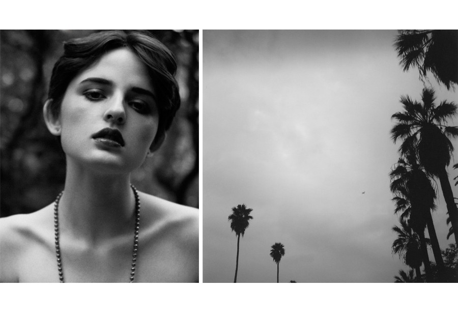 leila & la palm trees